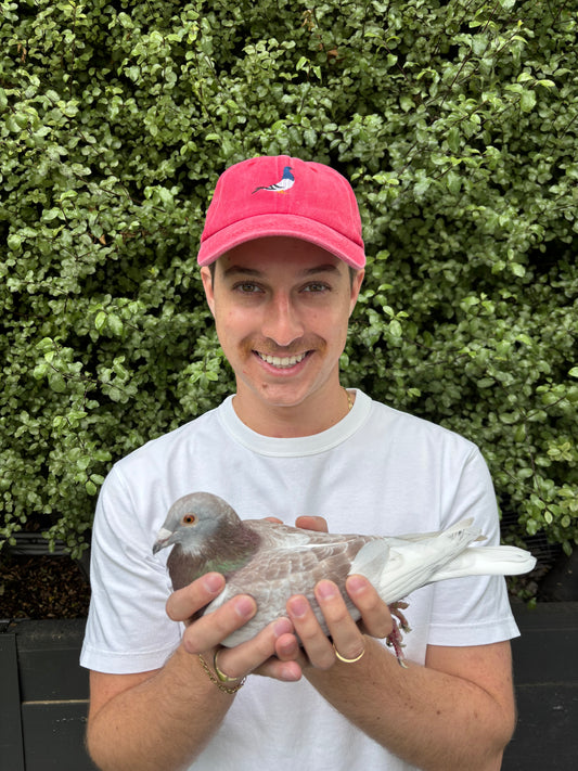 Ash Red Pigeon Hat