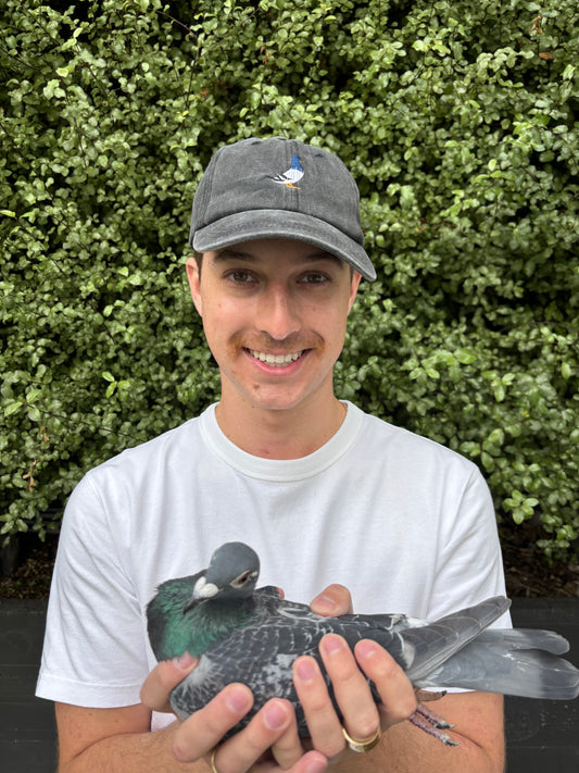 Black Checker Pigeon Hat